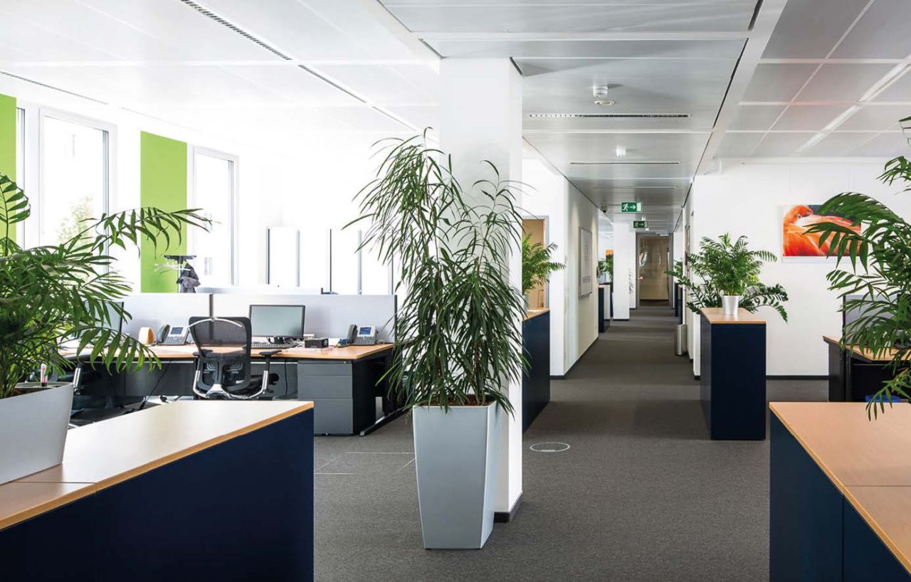 Büro  – GSK München – Referenz Nutz GmbH